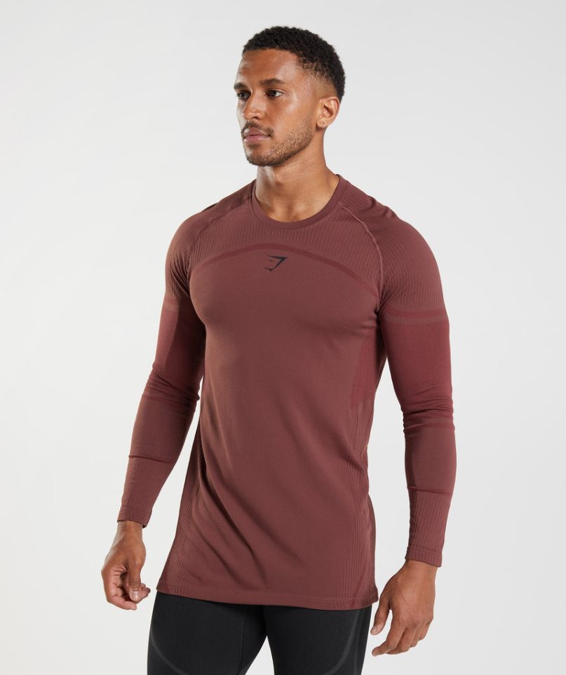 Koszulki Gymshark 315 Long Sleeve Męskie Brązowe | PL 084ESC